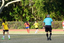 Enlarge photo 113