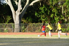 Enlarge photo 112