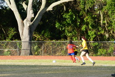 Enlarge photo 114