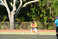 Enlarge photo 116