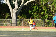 Enlarge photo 115
