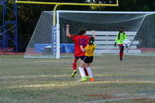 Enlarge photo 118