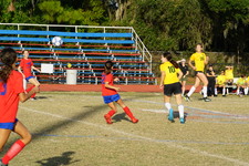 Enlarge photo 133