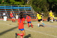 Enlarge photo 134