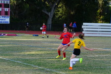 Enlarge photo 137