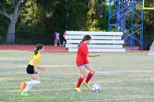 Enlarge photo 138