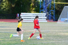 Enlarge photo 139