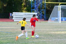 Enlarge photo 141