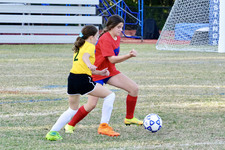 Enlarge photo 140