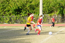 Enlarge photo 149