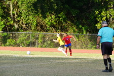 Enlarge photo 153