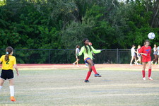 Enlarge photo 159