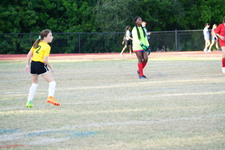 Enlarge photo 162