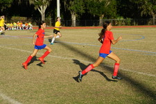 Enlarge photo 164