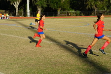 Enlarge photo 163