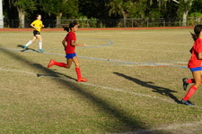 Enlarge photo 165