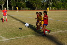 Enlarge photo 168