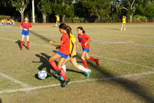 Enlarge photo 170