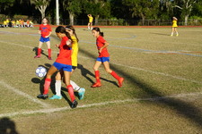 Enlarge photo 172