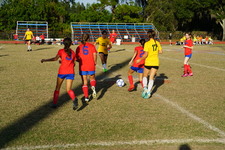 Enlarge photo 173