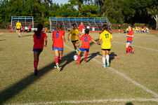 Enlarge photo 175