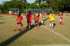 Enlarge photo 177