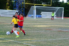 Enlarge photo 179