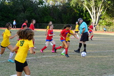 Enlarge photo 187