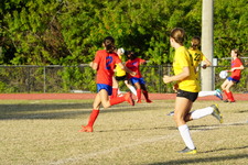Enlarge photo 213