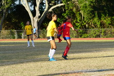 Enlarge photo 216