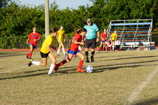 Enlarge photo 220