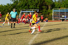 Enlarge photo 223