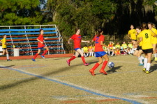 Enlarge photo 227