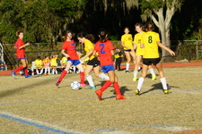 Enlarge photo 229