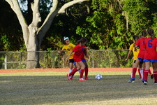 Enlarge photo 232