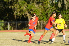 Enlarge photo 242
