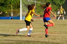 Enlarge photo 248