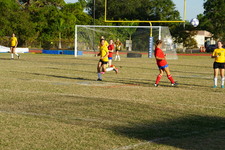 Enlarge photo 254