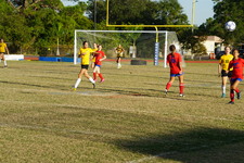 Enlarge photo 252