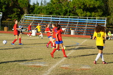 Enlarge photo 262