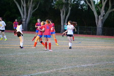 Enlarge photo 40
