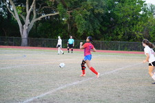 Enlarge photo 45