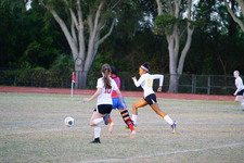 Enlarge photo 50