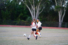 Enlarge photo 51
