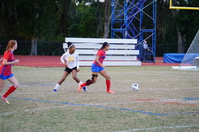 Enlarge photo 61