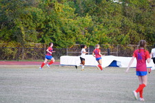 Enlarge photo 69