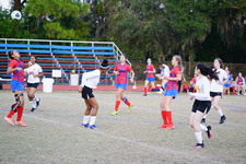 Enlarge photo 72