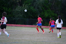 Enlarge photo 97