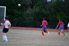 Enlarge photo 98