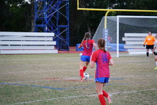 Enlarge photo 113